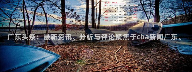 广东头条：最新资讯、分析与评论聚焦于cba新闻广东。