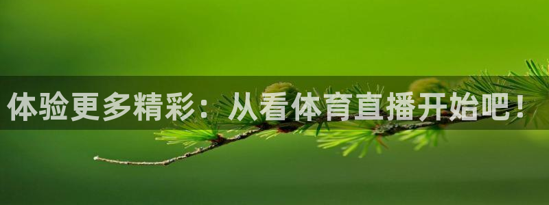 体验更多精彩：从看体育直播开始吧！