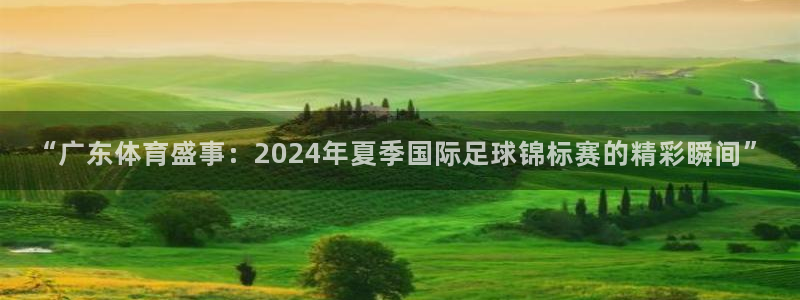 “广东体育盛事：2024年夏季国际足球锦标赛的精彩瞬间”