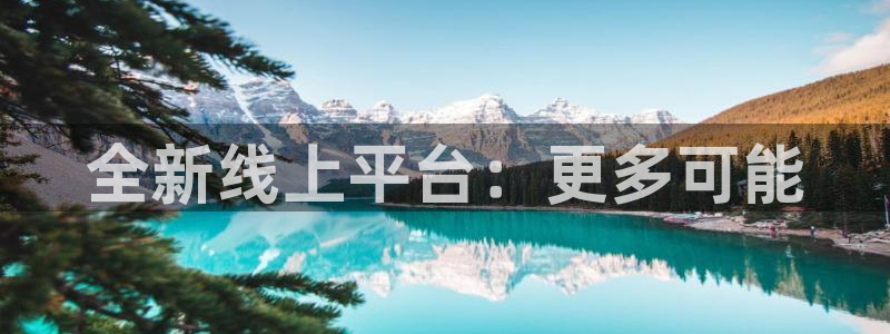 全新线上平台：更多可能