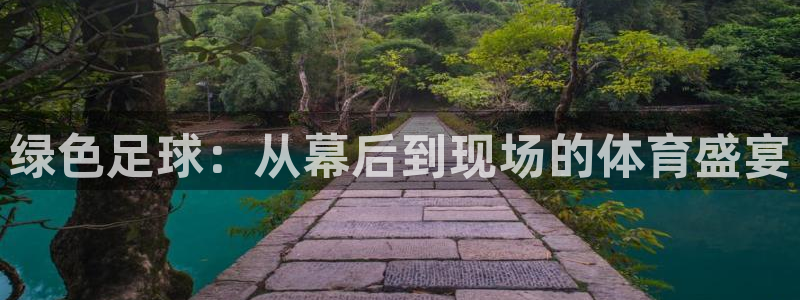 绿色足球：从幕后到现场的体育盛宴