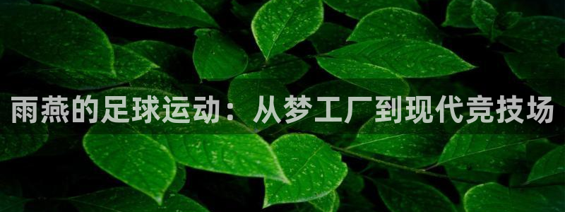 雨燕的足球运动：从梦工厂到现代竞技场