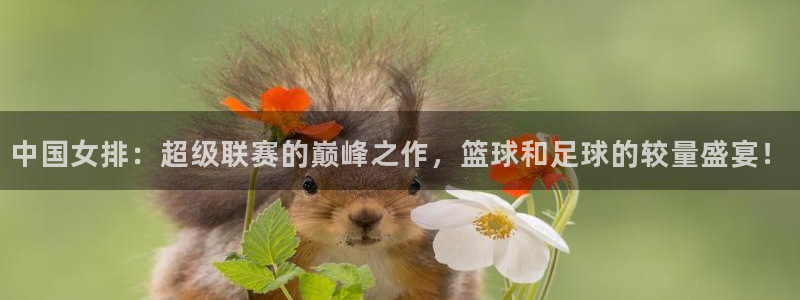 中国女排：超级联赛的巅峰之作，篮球和足球的较量盛宴！