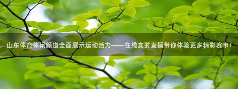 山东体育休闲频道全面展示运动活力——在线实时直播带你体验更多精彩赛事!