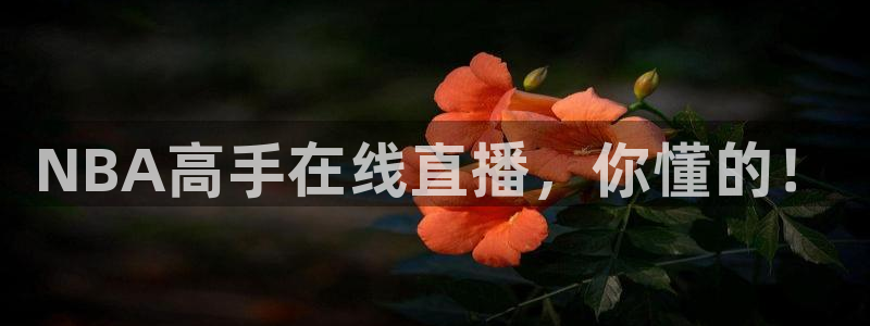 NBA高手在线直播，你懂的！