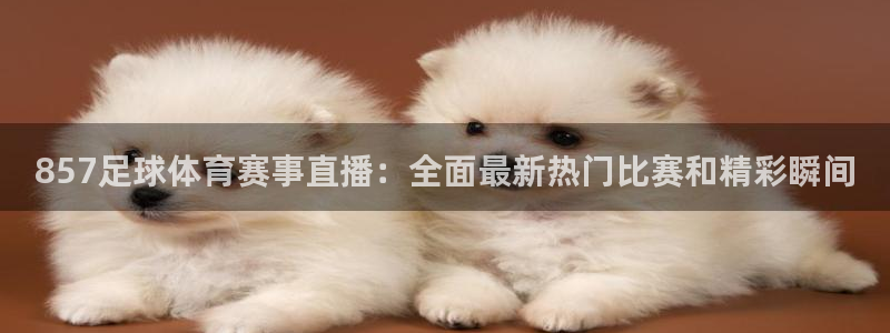 857足球体育赛事直播：全面最新热门比赛和精彩瞬间