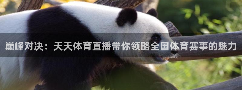 巅峰对决：天天体育直播带你领略全国体育赛事的魅力