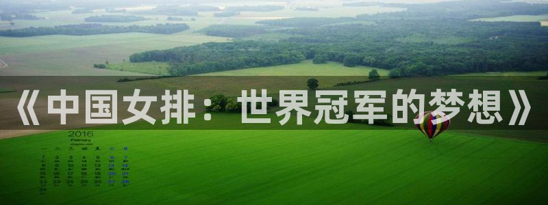 《中国女排：世界冠军的梦想》