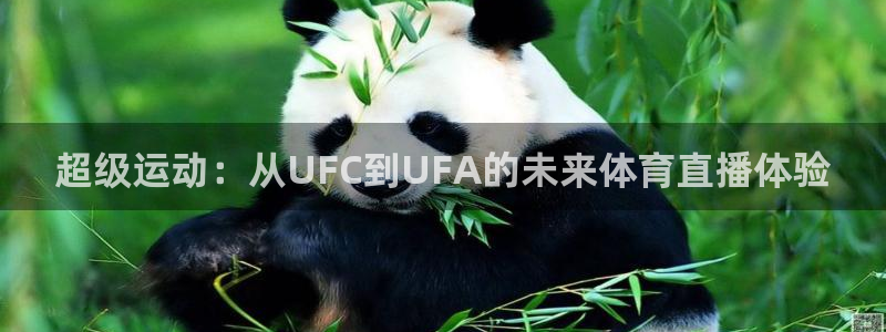 超级运动：从UFC到UFA的未来体育直播体验