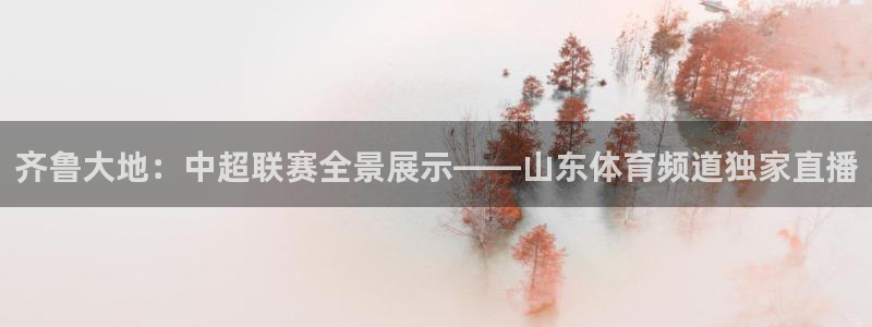 齐鲁大地：中超联赛全景展示——山东体育频道独家直播