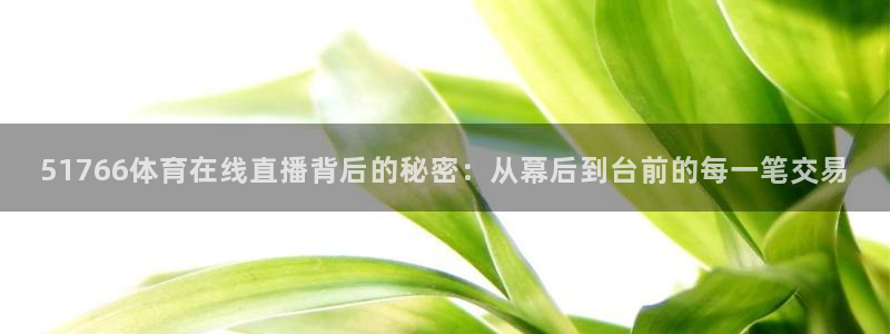 51766体育在线直播背后的秘密：从幕后到台前的每一笔交易