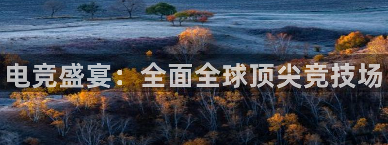 电竞盛宴：全面全球顶尖竞技场