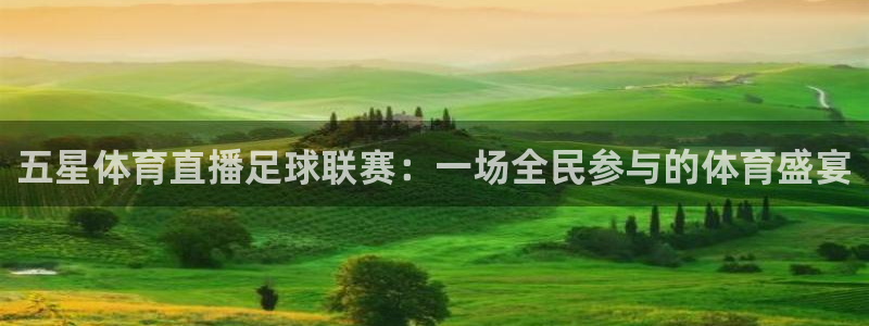 五星体育直播足球联赛：一场全民参与的体育盛宴