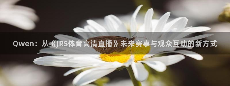 Qwen：从《JRS体育高清直播》未来赛事与观众互动的新方式