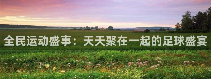 全民运动盛事：天天聚在一起的足球盛宴