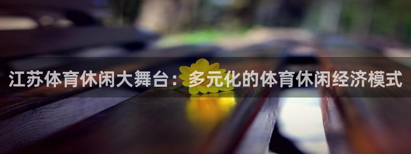 江苏体育休闲大舞台：多元化的体育休闲经济模式