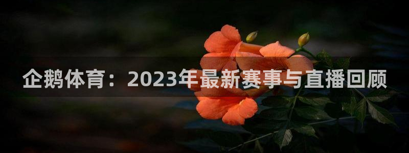 企鹅体育：2023年最新赛事与直播回顾