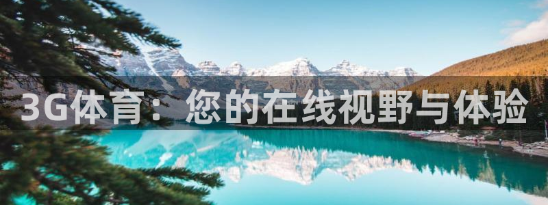 3G体育：您的在线视野与体验