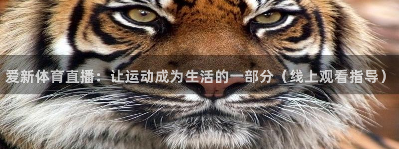 爱新体育直播：让运动成为生活的一部分（线上观看指导）