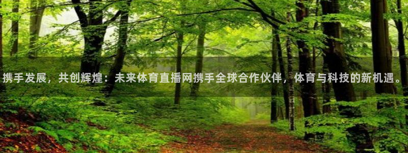 携手发展，共创辉煌：未来体育直播网携手全球合作伙伴，体育与科技的新机遇。