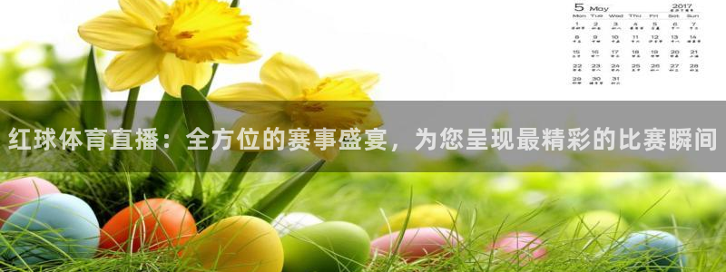 红球体育直播：全方位的赛事盛宴，为您呈现最精彩的比赛瞬间