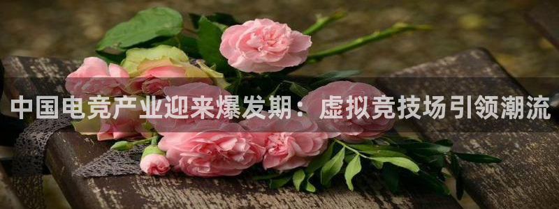 中国电竞产业迎来爆发期：虚拟竞技场引领潮流