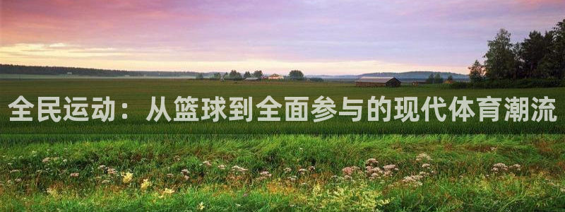 全民运动：从篮球到全面参与的现代体育潮流