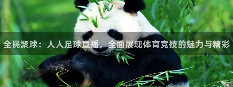 全民聚球：人人足球直播，全面展现体育竞技的魅力与精彩
