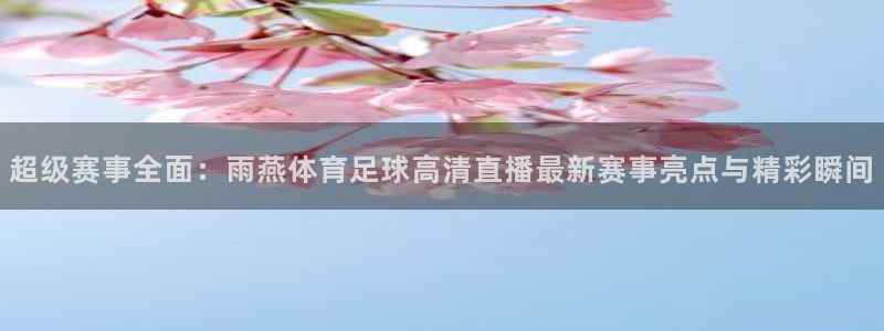 超级赛事全面：雨燕体育足球高清直播最新赛事亮点与精彩瞬间
