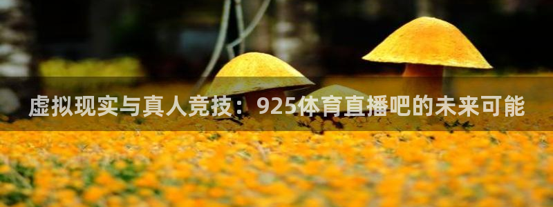 虚拟现实与真人竞技：925体育直播吧的未来可能