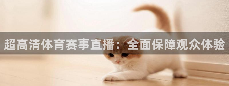 超高清体育赛事直播：全面保障观众体验
