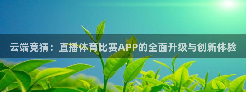 云端竞猜：直播体育比赛APP的全面升级与创新体验