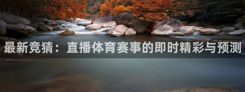 最新竞猜：直播体育赛事的即时精彩与预测