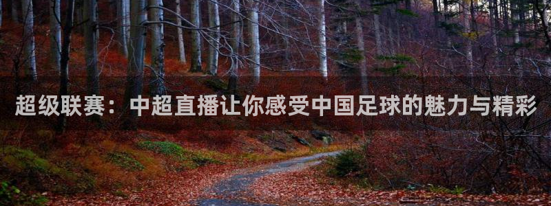 超级联赛：中超直播让你感受中国足球的魅力与精彩