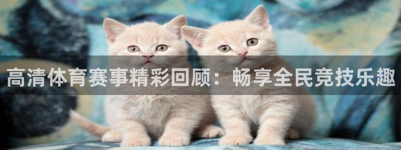高清体育赛事精彩回顾：畅享全民竞技乐趣