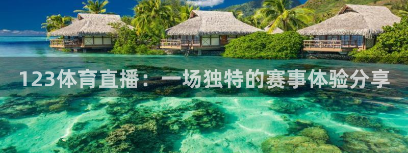 123体育直播：一场独特的赛事体验分享