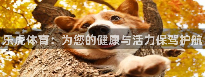 乐虎体育：为您的健康与活力保驾护航