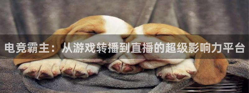 电竞霸主：从游戏转播到直播的超级影响力平台