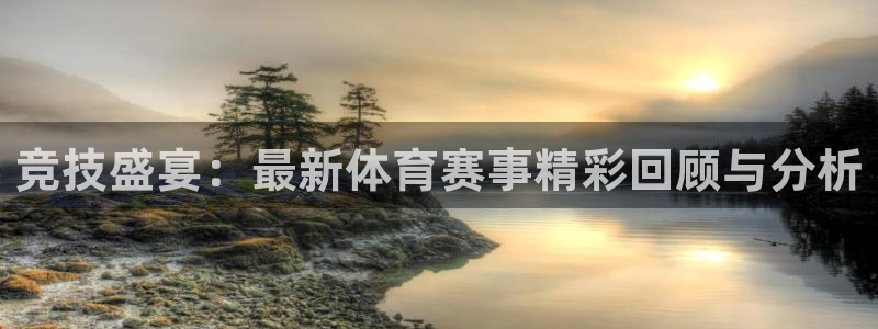 竞技盛宴：最新体育赛事精彩回顾与分析