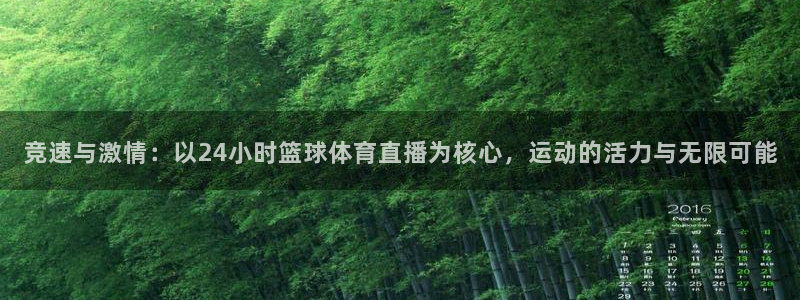 竞速与激情：以24小时篮球体育直播为核心，运动的活力与无限可能