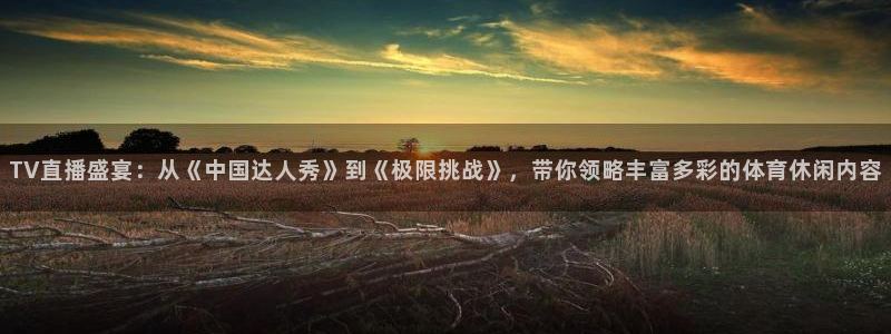 TV直播盛宴：从《中国达人秀》到《极限挑战》，带你领略丰富多彩的体育休闲内容