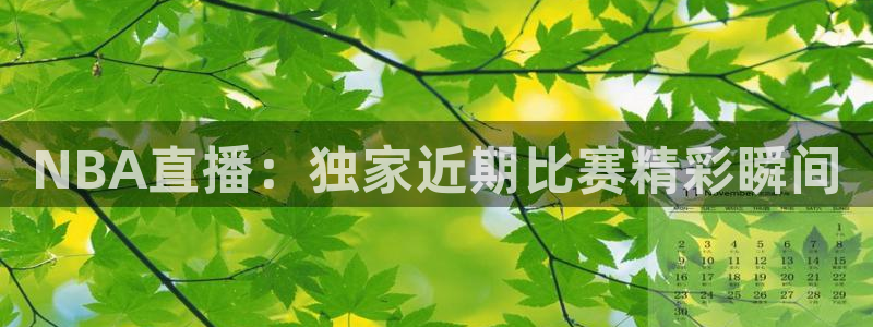NBA直播：独家近期比赛精彩瞬间