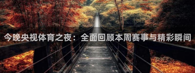 今晚央视体育之夜：全面回顾本周赛事与精彩瞬间