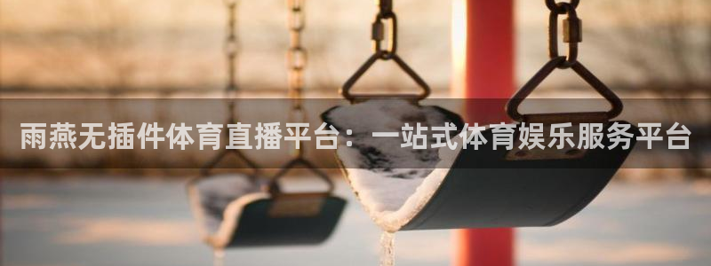 雨燕无插件体育直播平台：一站式体育娱乐服务平台