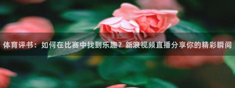 体育评书：如何在比赛中找到乐趣？新浪视频直播分享你的精彩瞬间