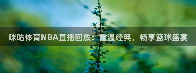 咪咕体育NBA直播回放：重温经典，畅享篮球盛宴