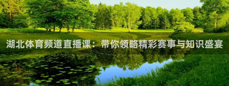 湖北体育频道直播课：带你领略精彩赛事与知识盛宴