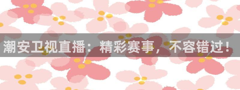 潮安卫视直播：精彩赛事，不容错过！