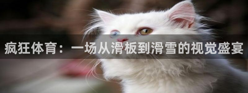 疯狂体育：一场从滑板到滑雪的视觉盛宴