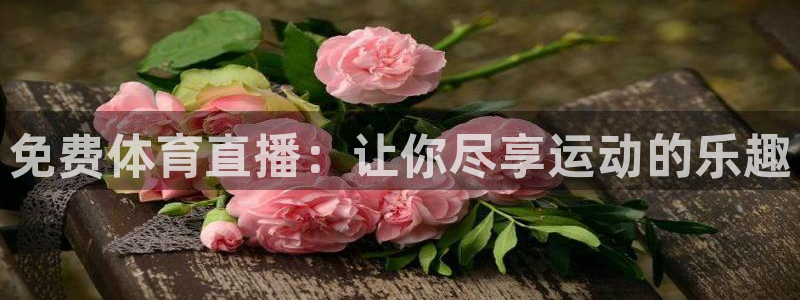免费体育直播：让你尽享运动的乐趣
